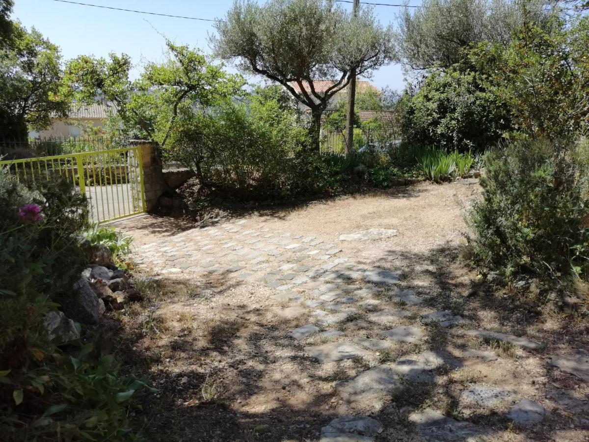T2 36 M2, Rdc De Villa, Clim, Gd Jardin Clos, Animx Ok, Quartier Mt Faron Tres Calme, Wifi, Parking Toulon Kültér fotó