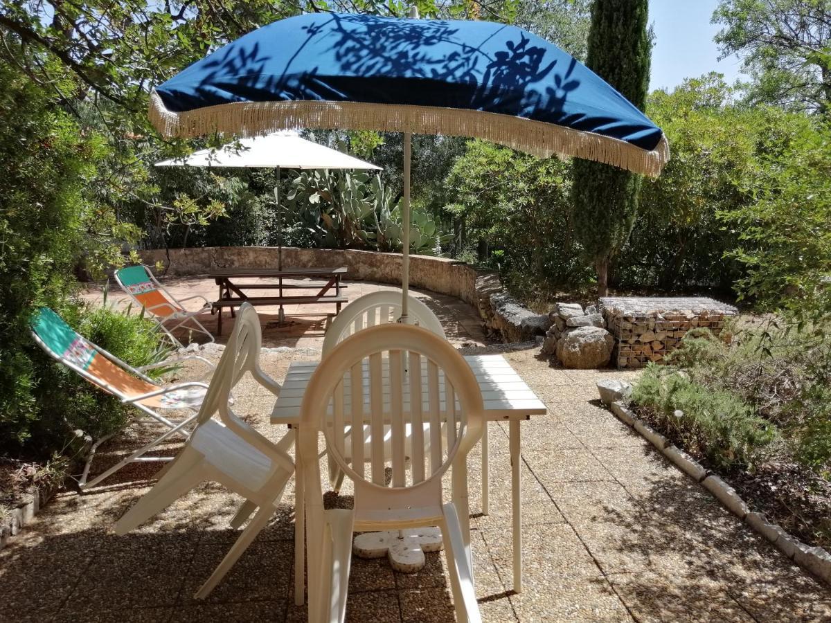 T2 36 M2, Rdc De Villa, Clim, Gd Jardin Clos, Animx Ok, Quartier Mt Faron Tres Calme, Wifi, Parking Toulon Kültér fotó