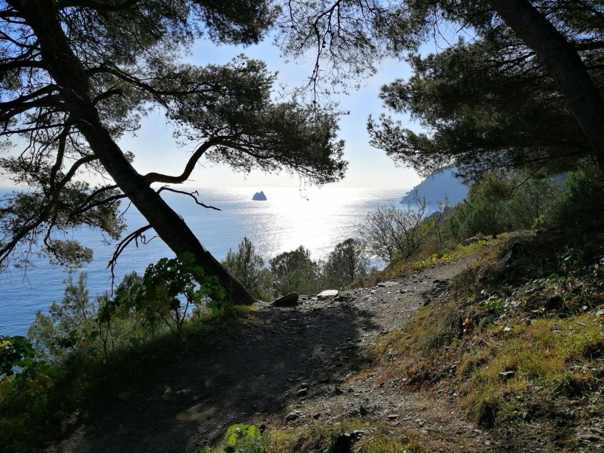T2 36 M2, Rdc De Villa, Clim, Gd Jardin Clos, Animx Ok, Quartier Mt Faron Tres Calme, Wifi, Parking Toulon Kültér fotó