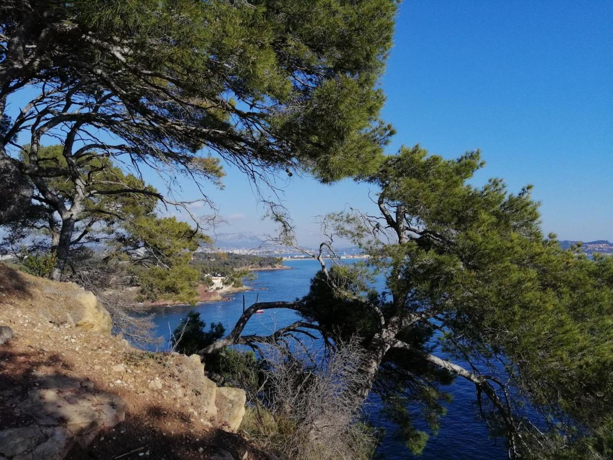 T2 36 M2, Rdc De Villa, Clim, Gd Jardin Clos, Animx Ok, Quartier Mt Faron Tres Calme, Wifi, Parking Toulon Kültér fotó